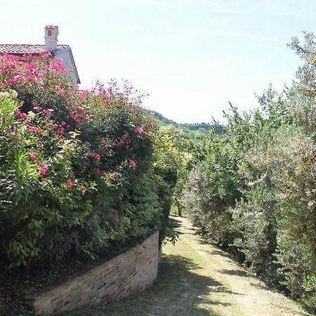 Villa Melagrana Fano Buitenkant foto