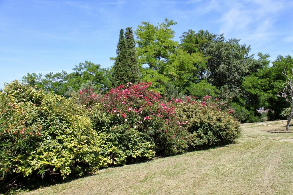 Villa Melagrana Fano Kamer foto